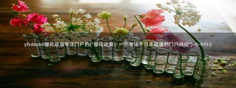 樱花动漫缘之空