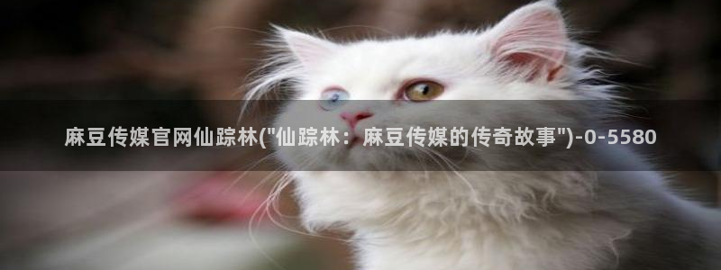 麻豆视频演员文案