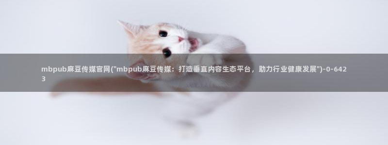 麻豆视频分类规则