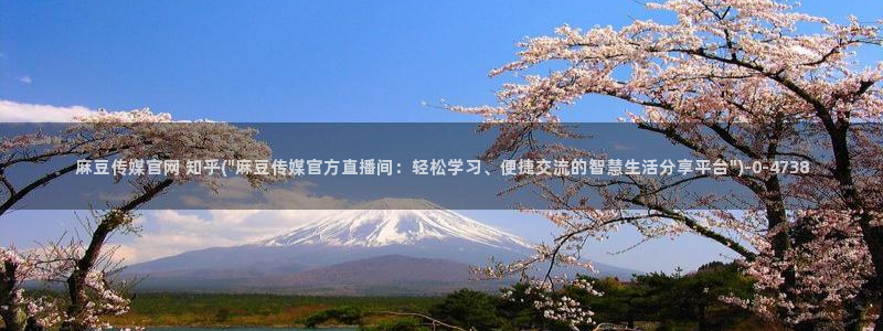 麻豆视频页面描述