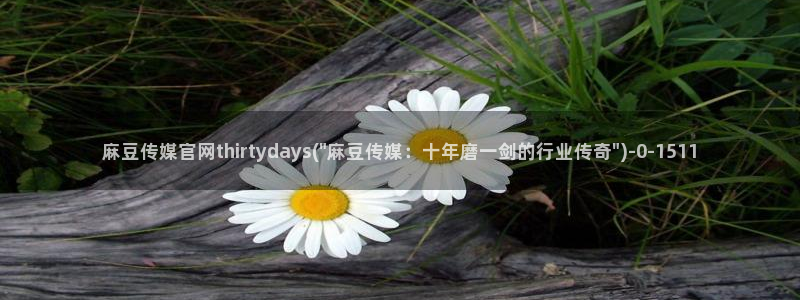 麻豆内容整理