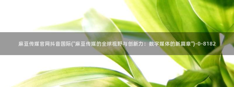 麻豆视频解说文案