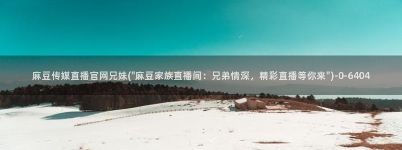麻豆视频文章描述