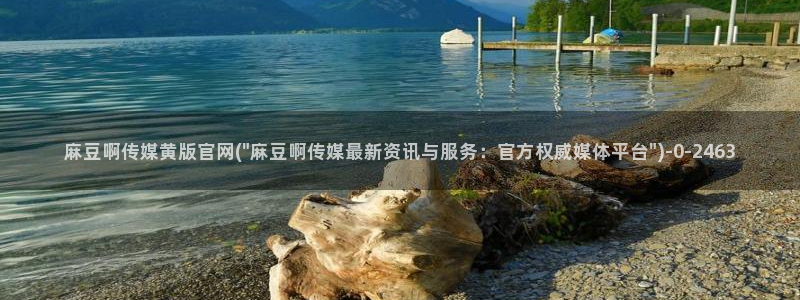 麻豆视频页面标题
