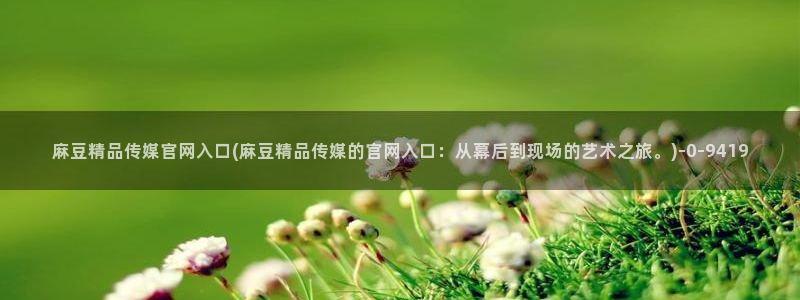麻豆系列视频