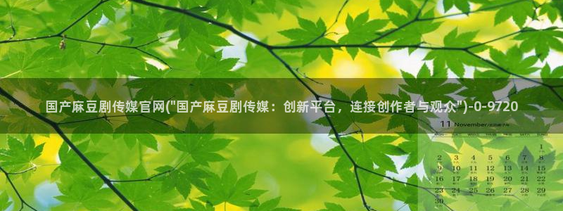麻豆高口碑视频