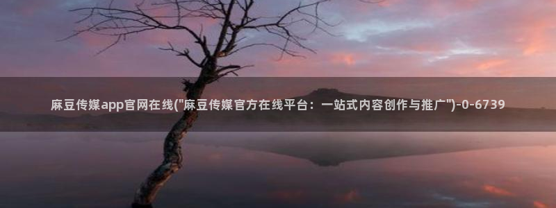 麻豆自定义库