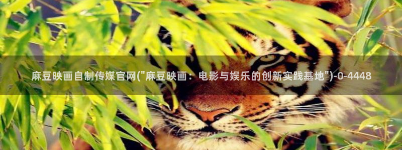 麻豆视频内容维护