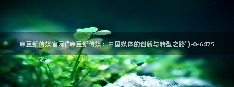 麻豆视频伪原创：麻豆新传媒官网(\