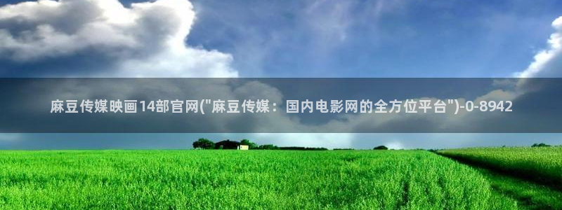 麻豆资料页
