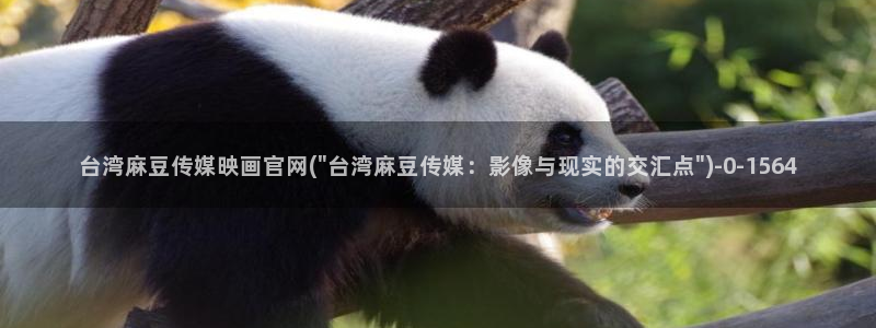 麻豆都市剧情