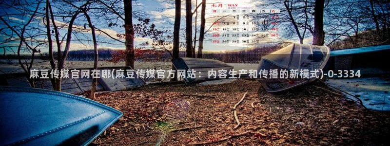麻豆资料页