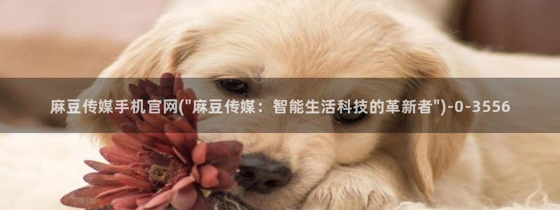 麻豆SEO模板：麻豆传媒手机官网(\