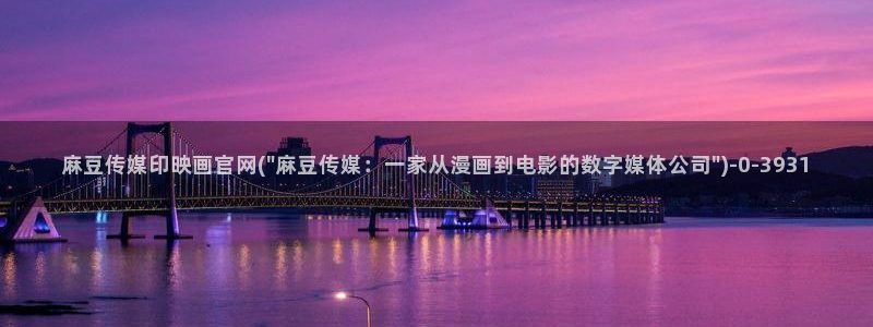麻豆视频标签规划