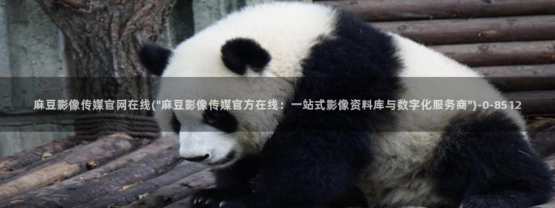麻豆视频模板标签