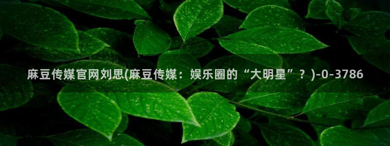 麻豆指南页