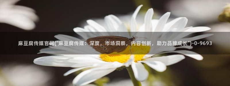 麻豆视频列表文案